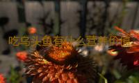 吃乌头鱼有什么营养价值 