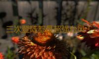 三次登陆都是超强台风！“摩羯”对广东的影响将持续多久？ 